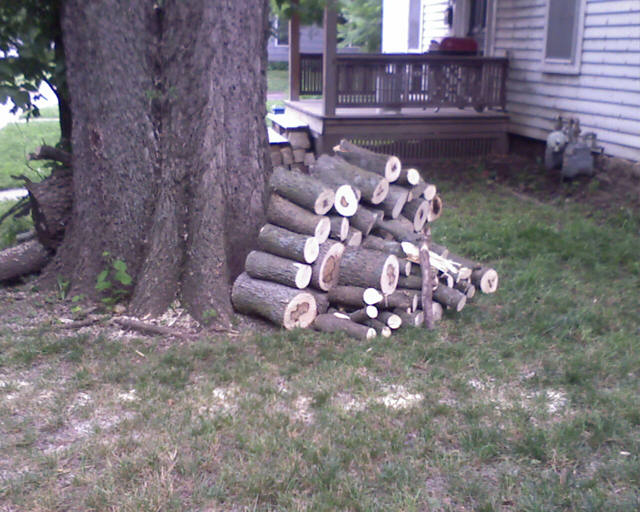 Pile of wood